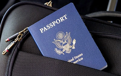 Ideal Thread for Suitcase