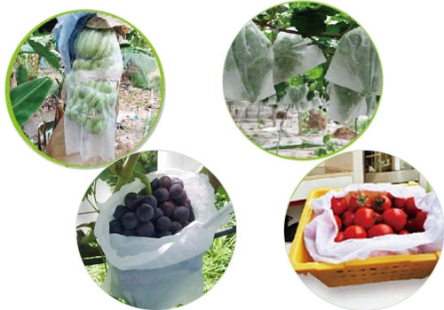 Nonwoven fruit cover bag