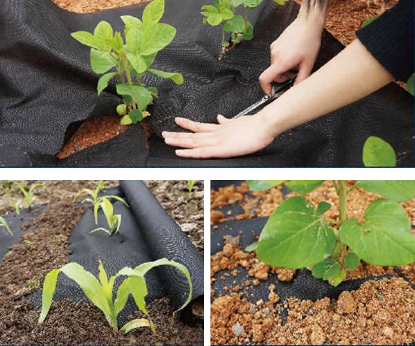 PP nonwoven weed control fabric