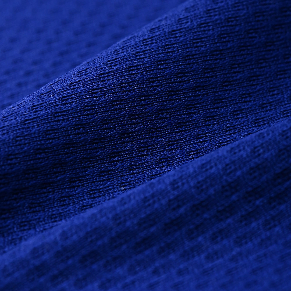 100% polyester bird eye mesh fabric 180gsm texture 24NW-2347
