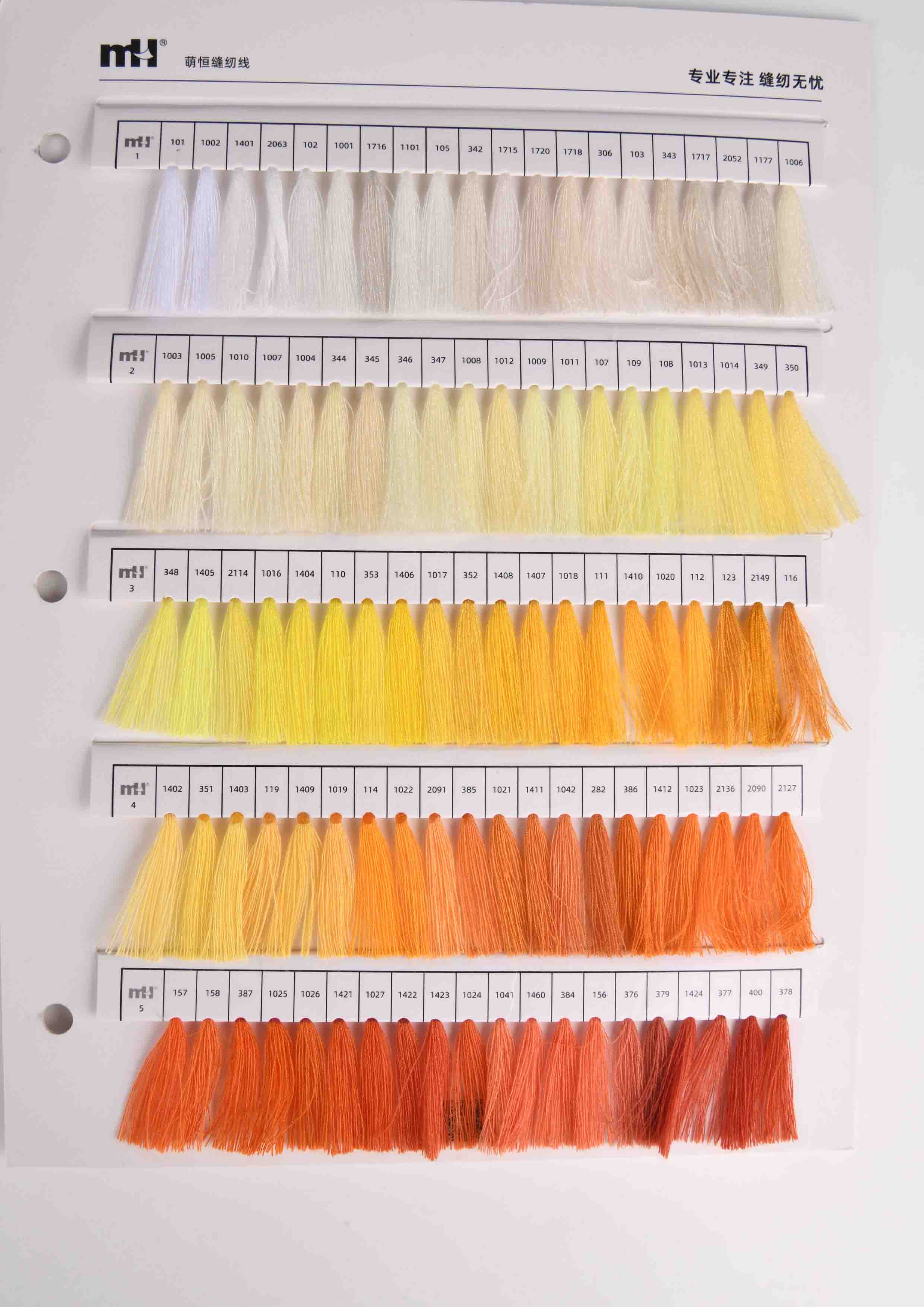 XL color card 1600 4