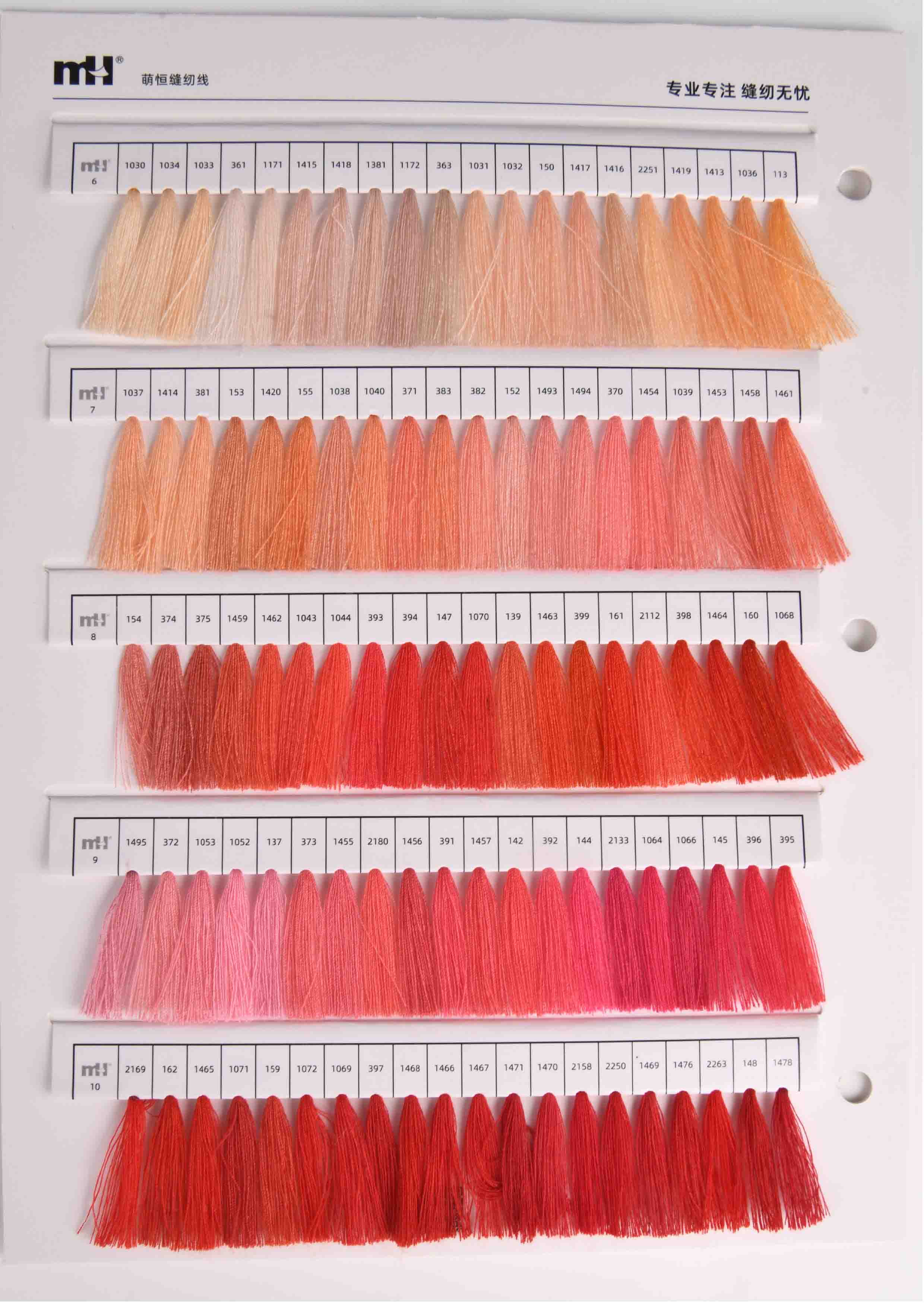 XL color card 1600 1