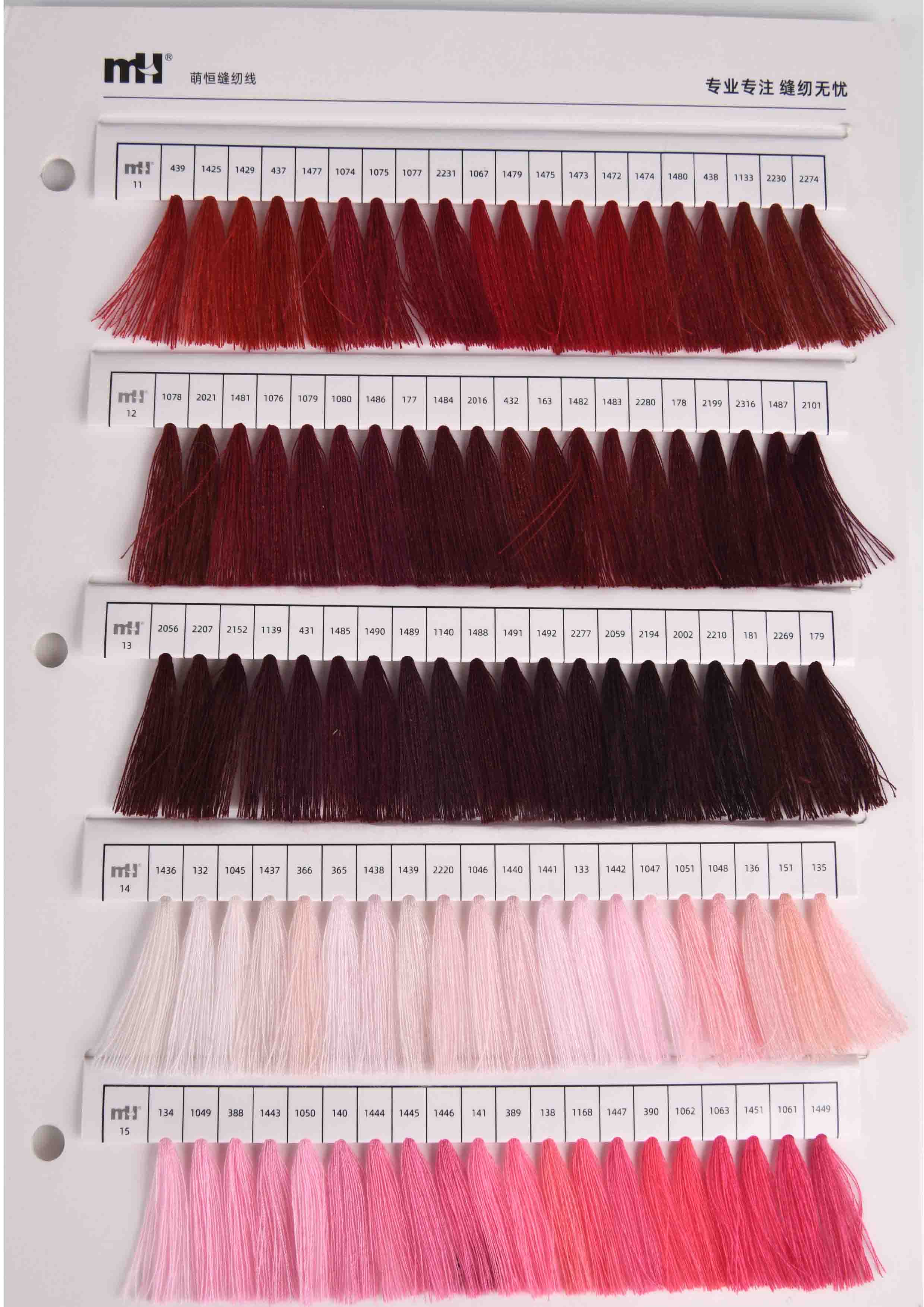 XL color card 1600 6