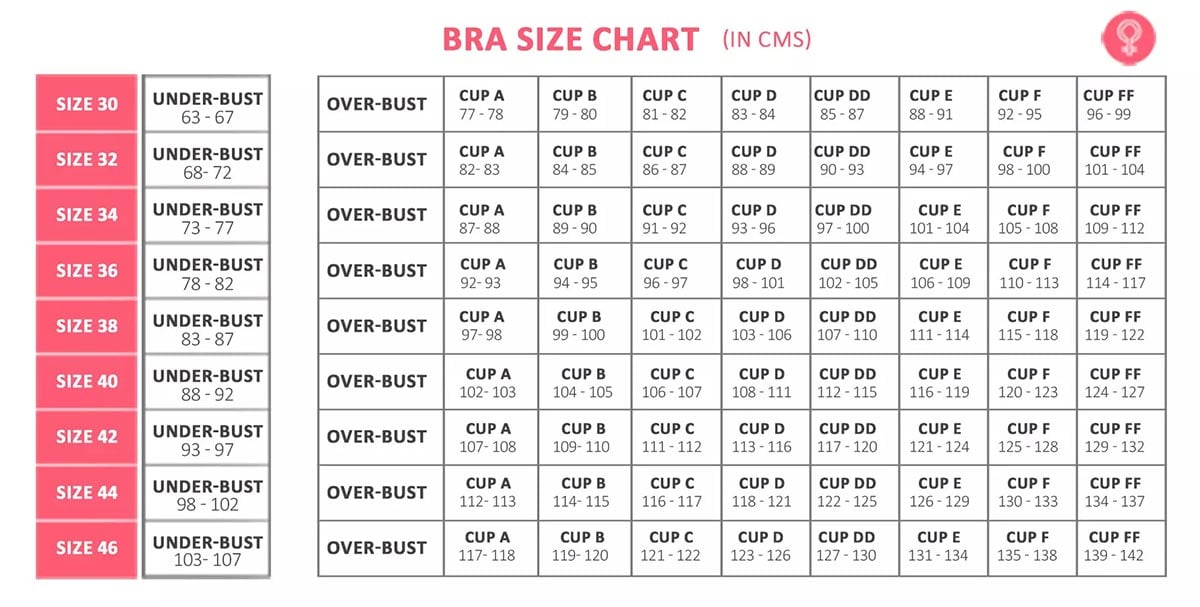 bra cup sizes