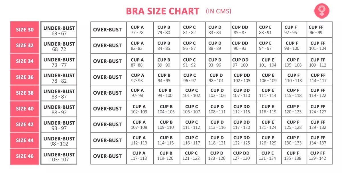 bra cup sizes
