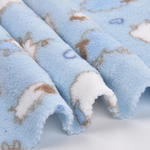 Ultra-Soft, Lightweight Coral Fleece