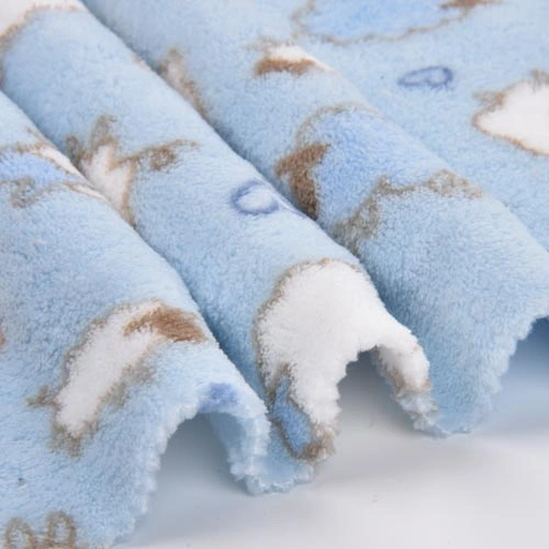 Ultra-Soft, Lightweight Coral Fleece