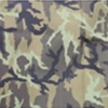 Czech camouflage