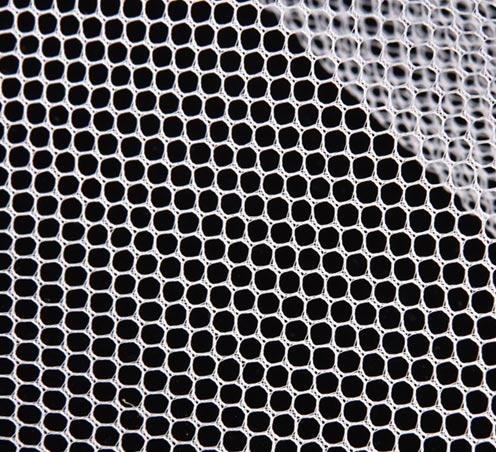 Polyester warp knitted net fabric 50D