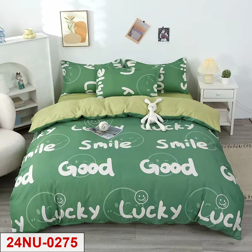 Carton printed 4-pieces bedsheet set