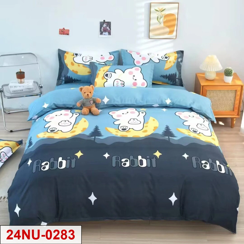 Carton printed 4-pieces bedsheet set