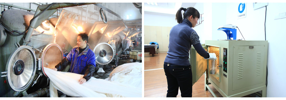 Dyeing and Testing