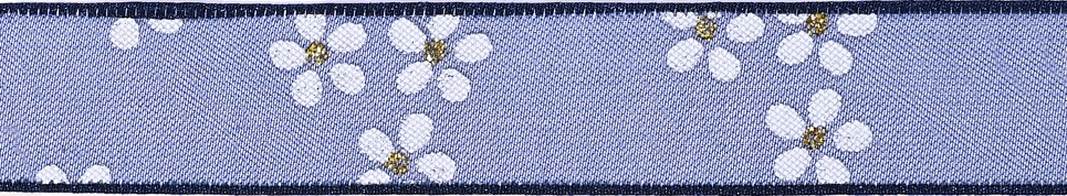 printed sheer ribbon