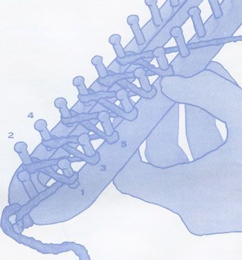Knitting Loom