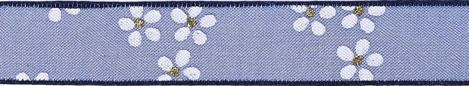 Printed Sheer Ribbon