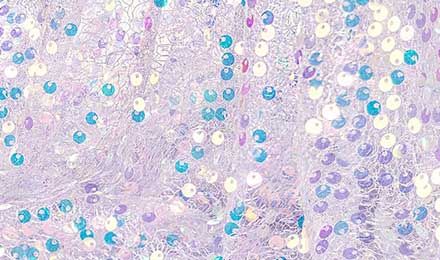 Elevate Your Designs with Iridescent Sequin Fabric