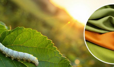 Is Silk Vegan? A Wholesale Guide to Ethical Fabric Choices