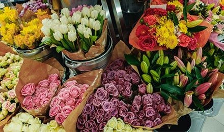Shop Flowers Wrapped: Elegance and Beauty in Every Bouquet